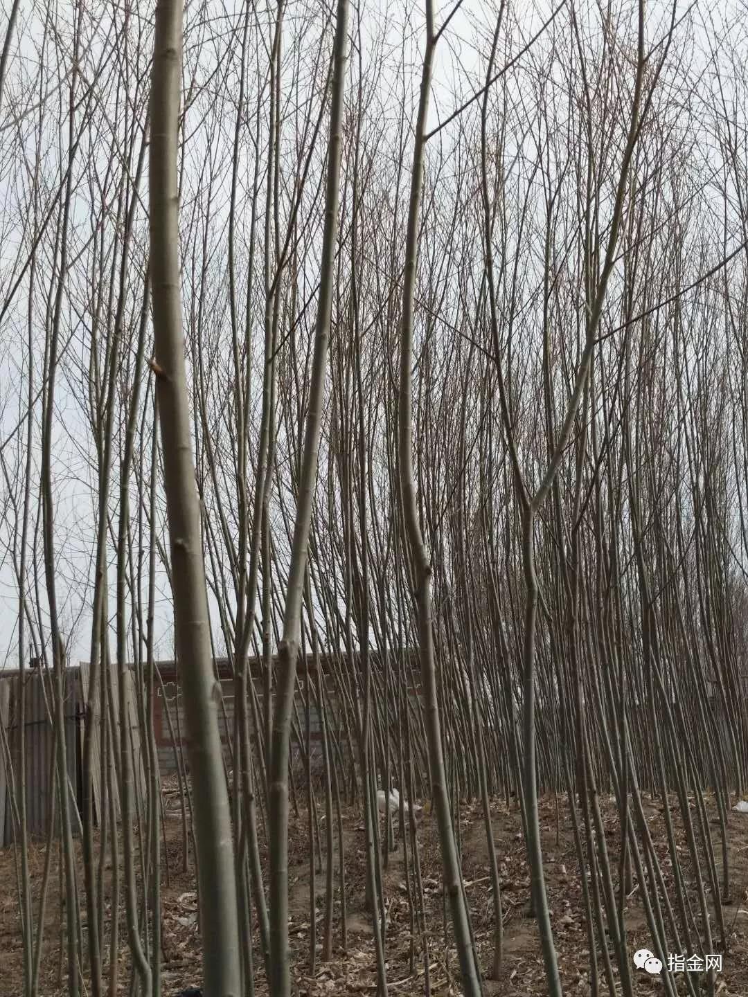 微信图片_20180413122319.jpg
