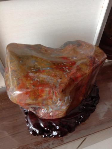 树化石......点击查看